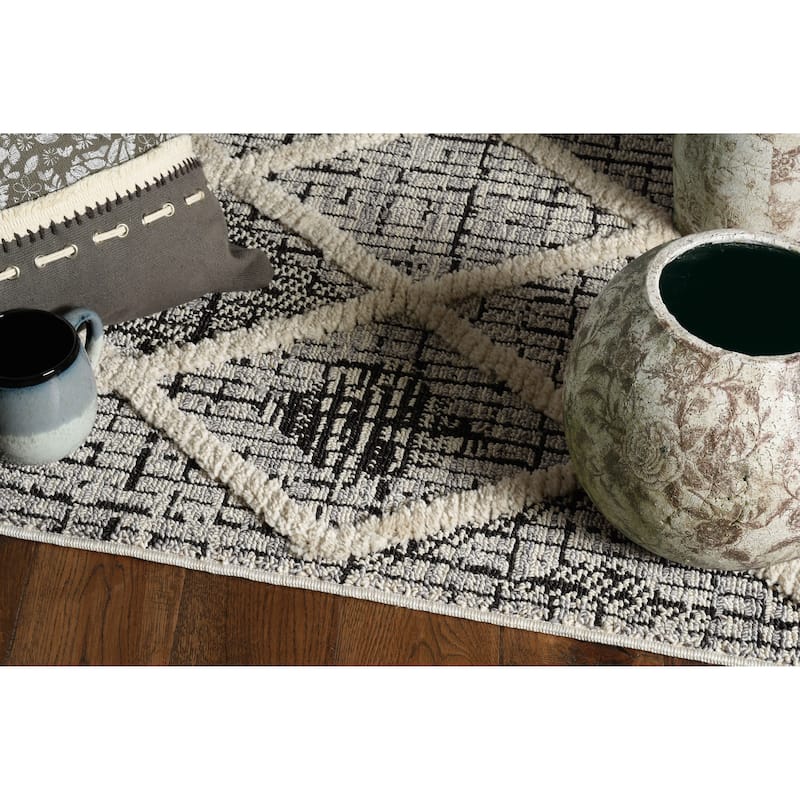 Carbon Loft Kanani Textured Distressed Morrocan Boho Rug with Fringe