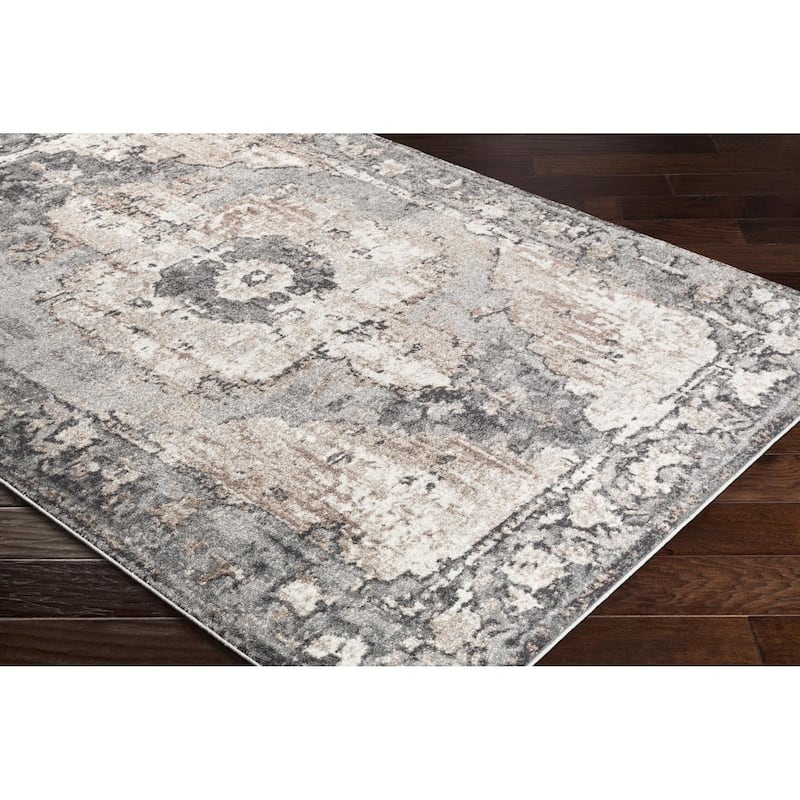 Livabliss Chelsea Updated Traditional Medallion Area Rug