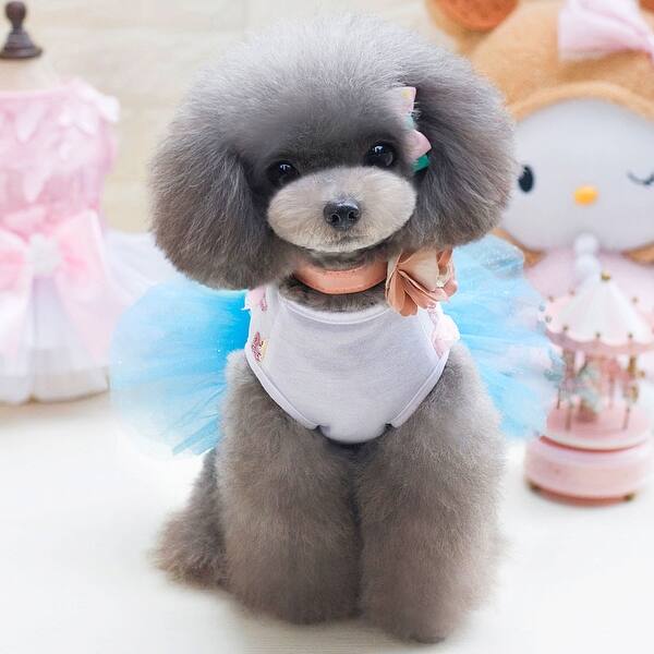 Shop Small Pet Dog Princess Dress Cat Puppy Skirt Tutu Apparel