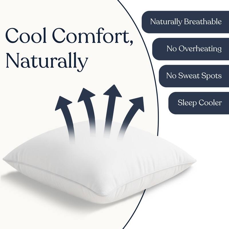 Delara Throw Pillow Inserts Organic Cotton, Down Alternative Fill, Set of 2