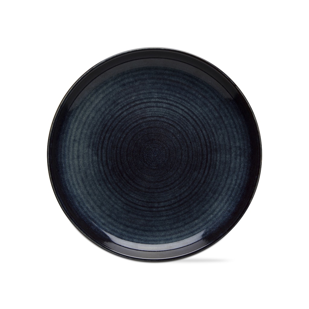 Loft Speckled Reactive Glaze Stoneware Dinnerware Plate 11.25 inch Midnight Blue Dishwasher Safe Set 4