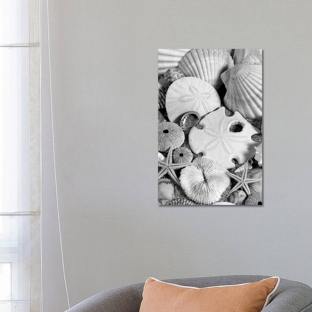 iCanvas "1980s Assortment Of Seashells Sand Dollars Coral And Starfish On Sand" by Vintage Images Canvas Print