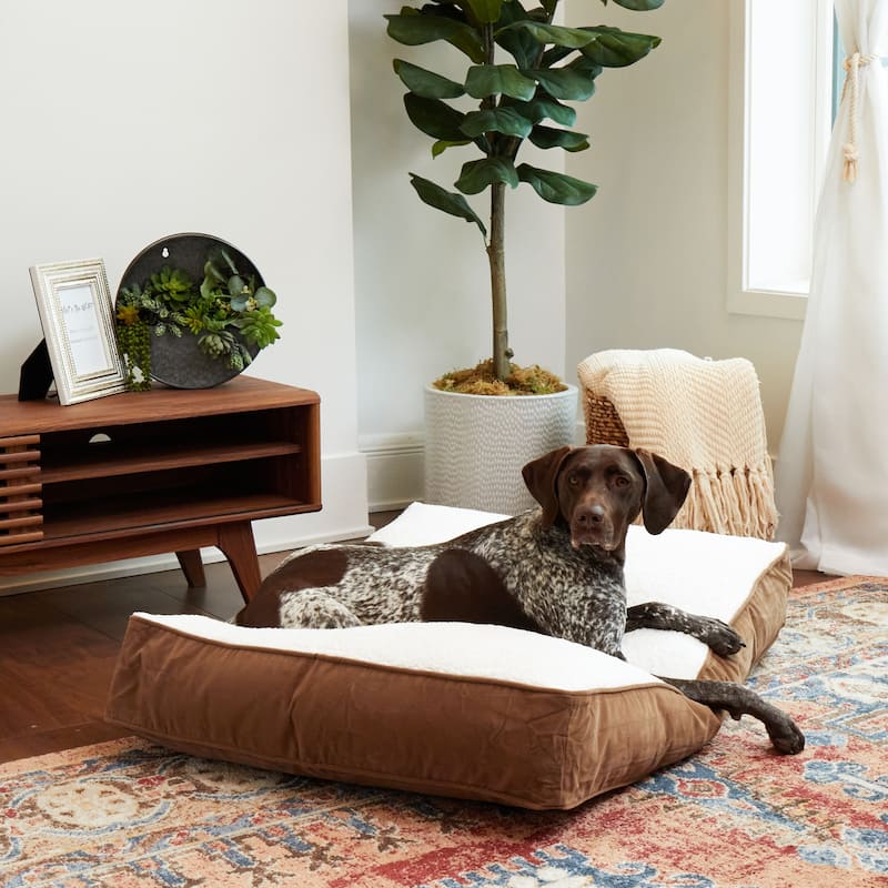 Happy Hounds Buster Sherpa Latte Dog Bed