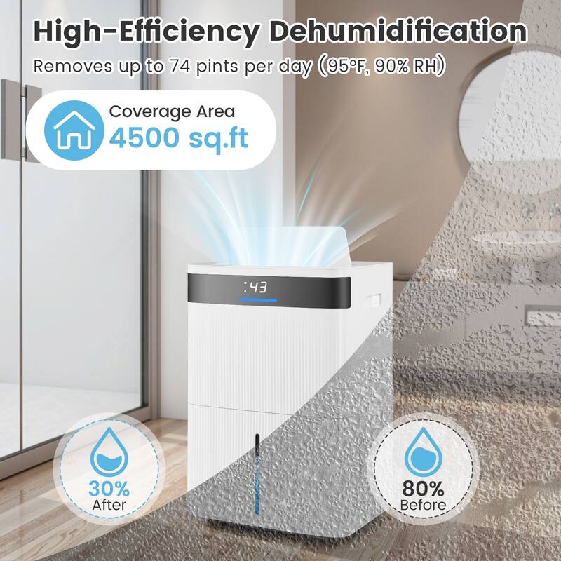 High Efficiency 74 Pint Dehumidifier for Home and Basement with 1.4 Gallon Tank Drain Hose and Smart Humidity Control for Rooms
