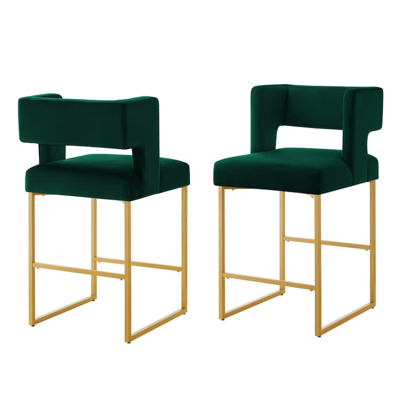 Modern Fashion Counter Height Bar Stools Set of 2