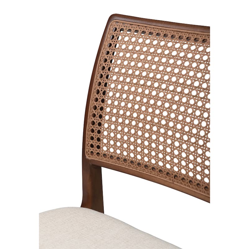 Modern Brazilian - Charlotte - Cane Side Chair - Medley Ivory Seat - Ebano Frame - Natural Cane Webbing