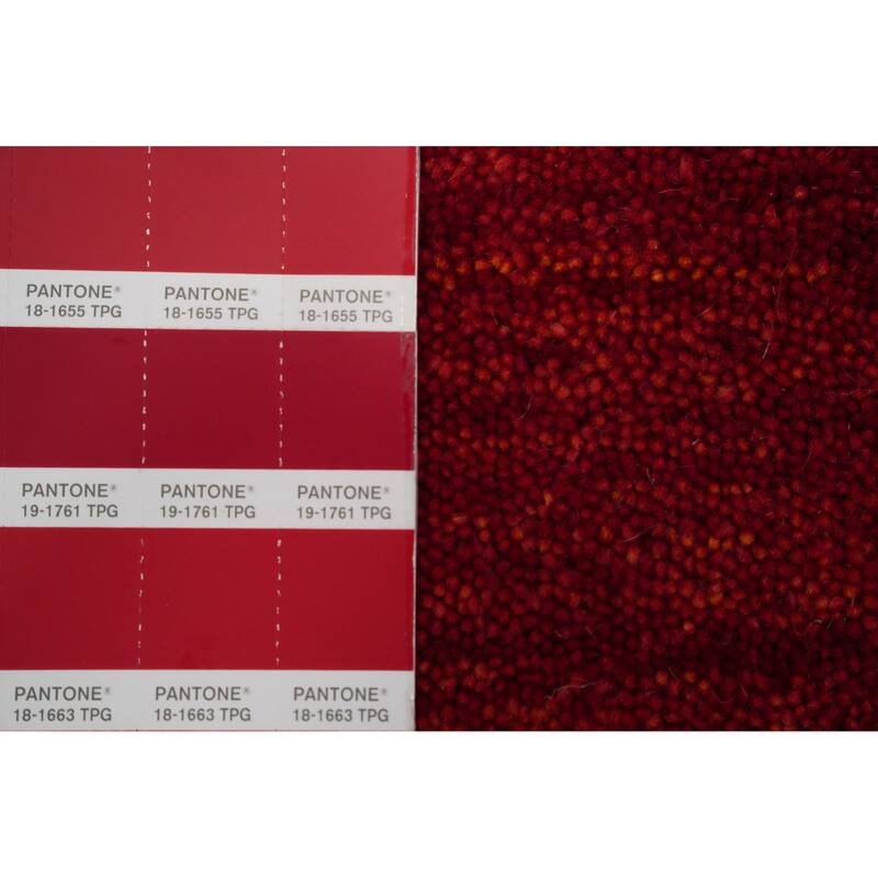 Hand Knotted Oriental 100% Wool Carpet Tribal Animal Pictorial Red Gabbeh Area Rug - 11' 9'' X 9' 1''