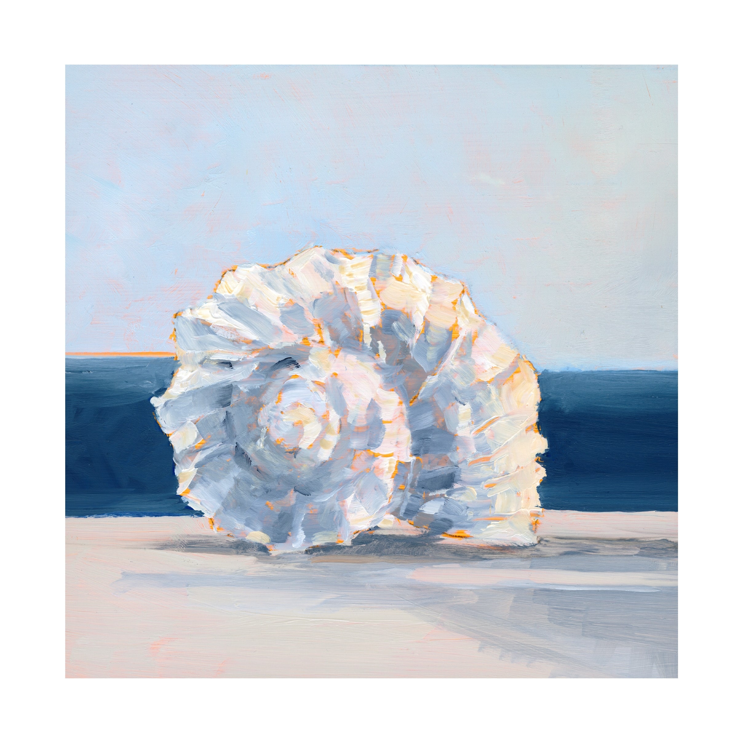 Ethan Harper 'Shell By the Shore IV' Canvas Art