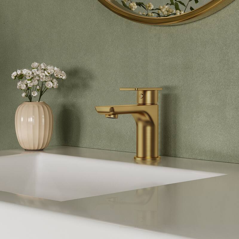 Single Hole Bathroom Faucet with Drain Assembly, Single Handle Bathroom Sink Faucet