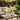 Textured Chinoiserie Ceramic Planters - Set of 2