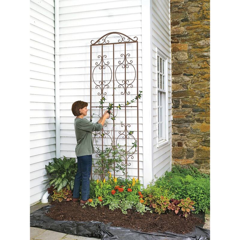 Montebello Metal Tall Garden Trellis