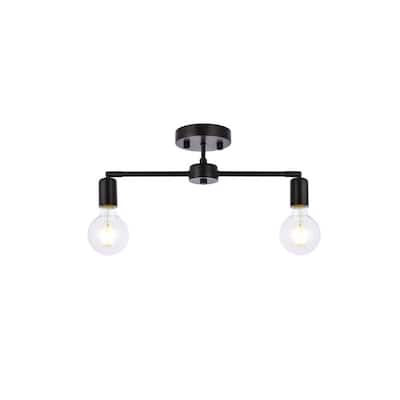 Elegant Lighting LD2348 Zane 2 Light 22" Wide Semi-flush Linear