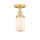 Option Satin Gold / Matte White