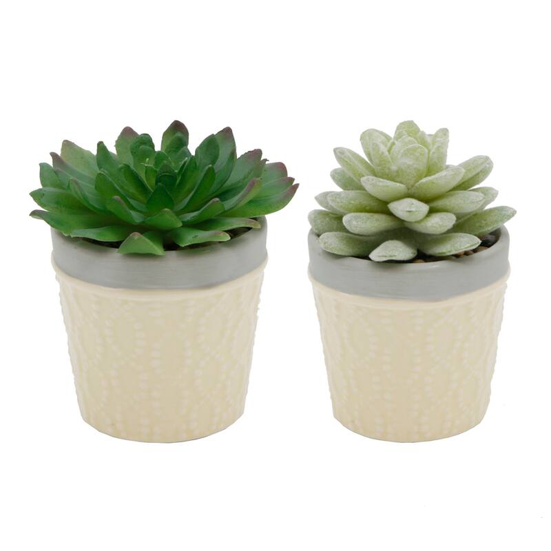 SET OF 2 Artificial Plant Succulent in 3" Dress Icecream Pot - ONE-SIZE