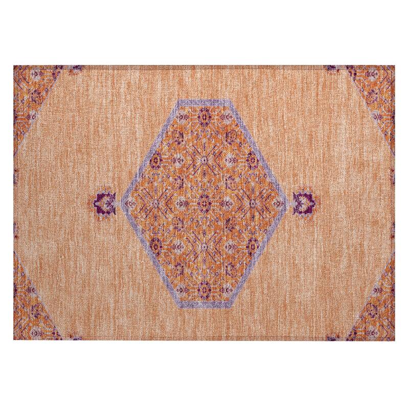 Machine Washable Indoor/ Outdoor Traditional Chantille Rug