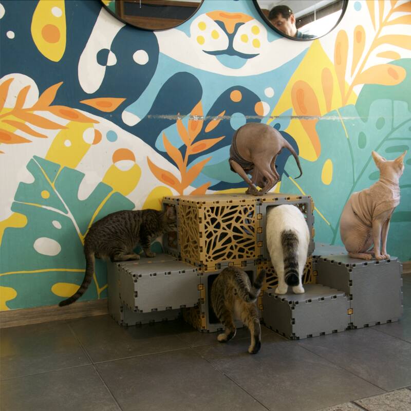 Zen Modular Cube – 10-Cube Set