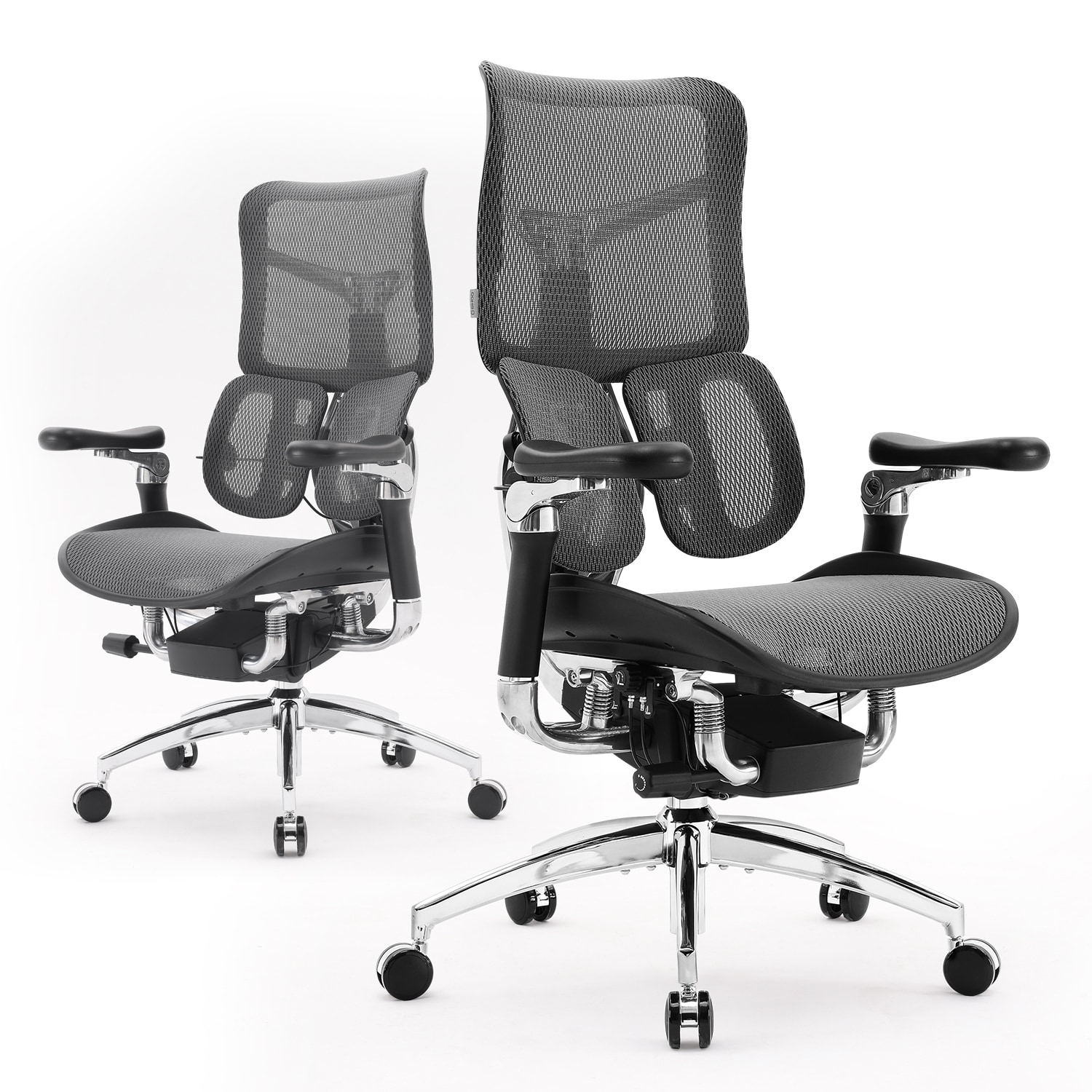 SIHOO Doro S300 Ergonomic Office Chair - Dual-layer Dynamic Lumbar