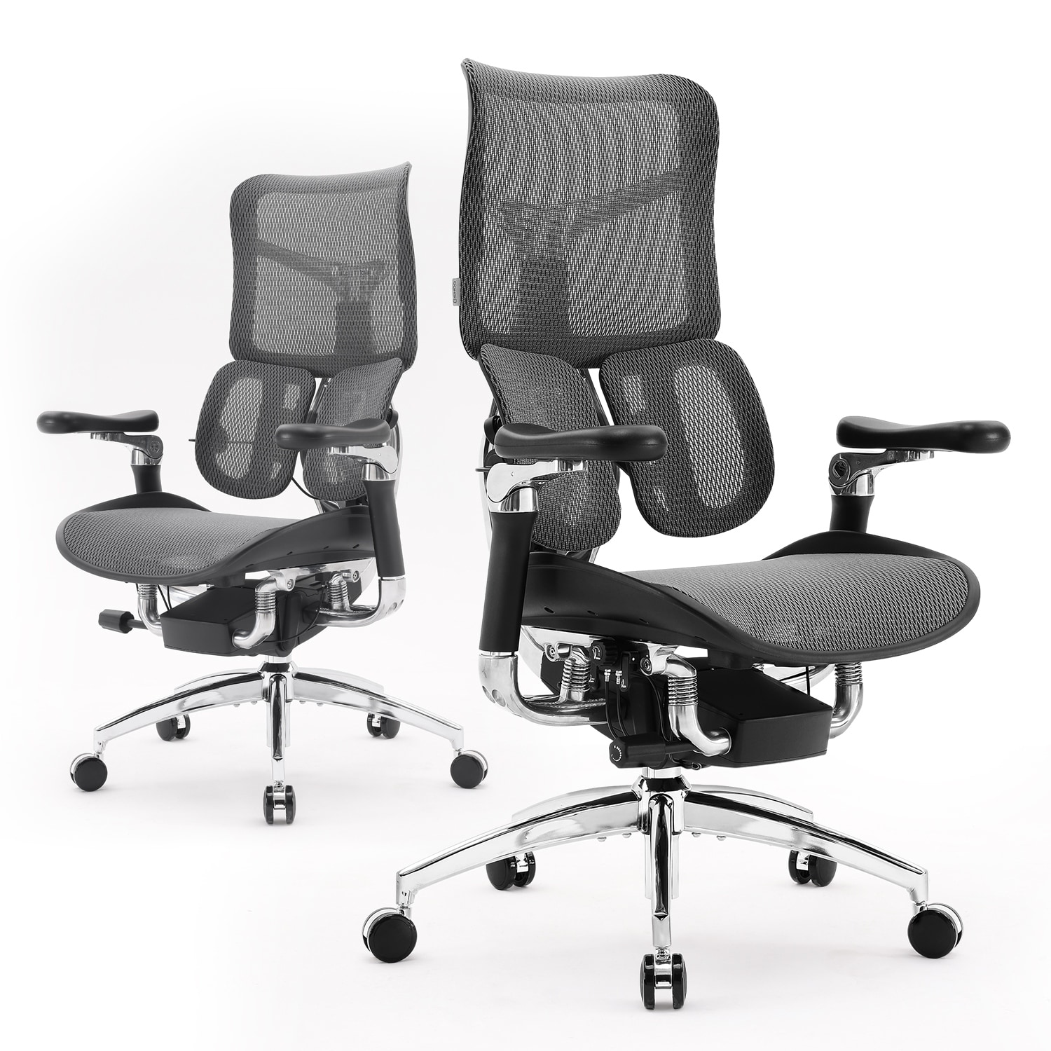 SIHOO Doro S300 Ergonomic Office Chair - Dual-layer Dynamic Lumbar Support  - 78.5*70*125