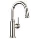 Option Polished Nickel