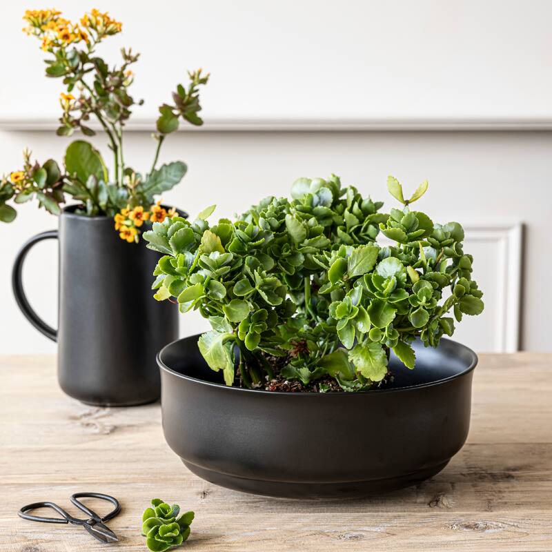 over&back Rimmed Semi-Matte Stoneware Serving Bowl