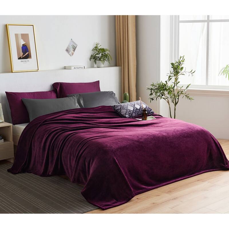 Large Solid Velvet Plush Fleece Blanket - Throw 50"x60" - Purple