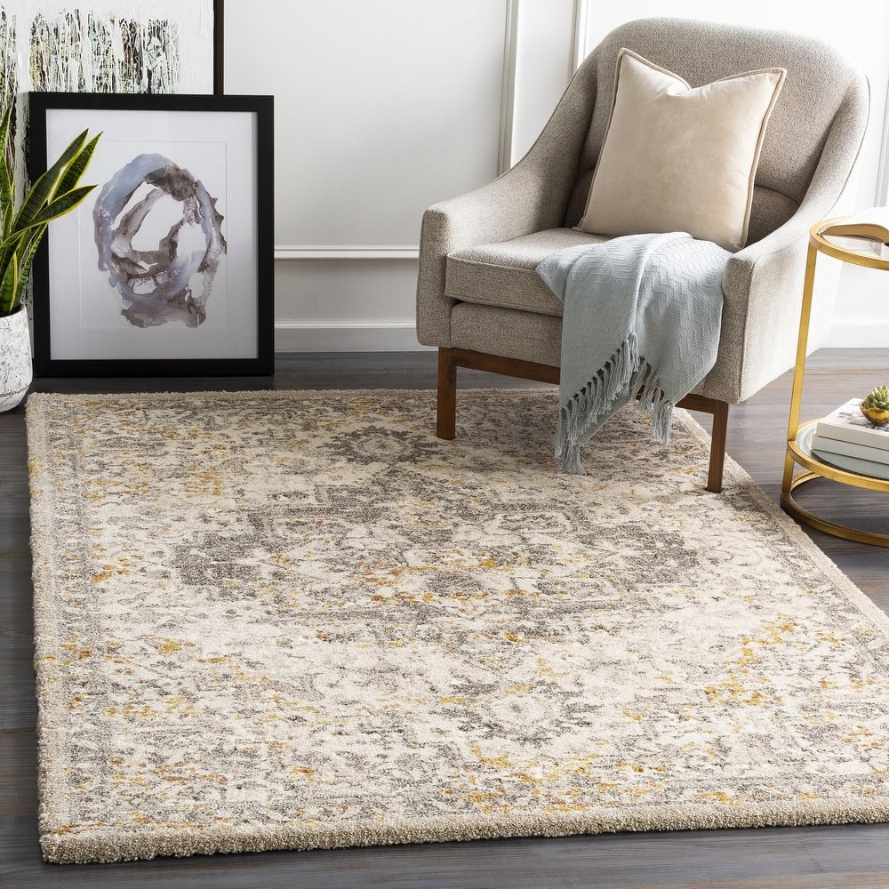 Pienza Updated Traditional Medallion Area Rug