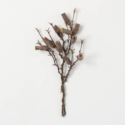 Sullivans Artificial Dried Branch With Pods 13.5"H Brown - 7"L x 3"W x 13.5"H