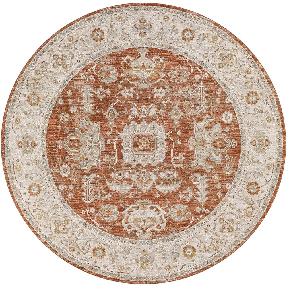 Livabliss Avant Garde Traditional Area Rug