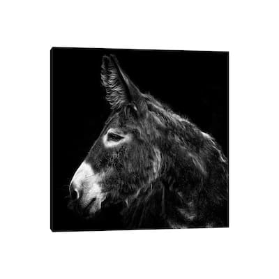 iCanvas "Donkey Portrait I" by PHBurchett Canvas Print