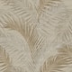 Option Bronze