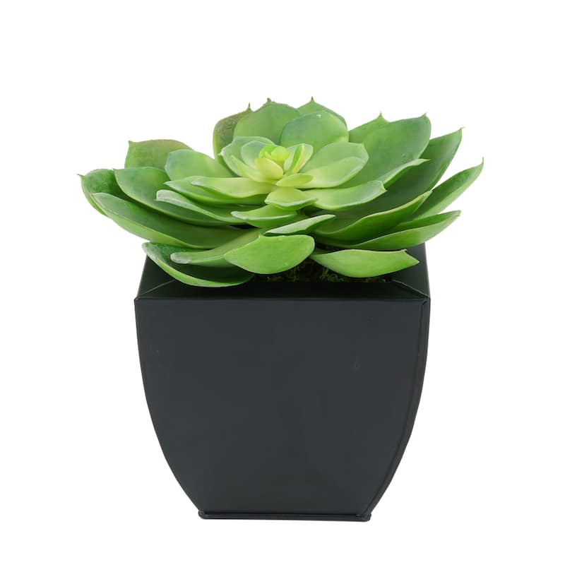 Faux Green Echeveria Succulent in Tapered Zinc Planter