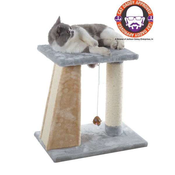 new cat tree
