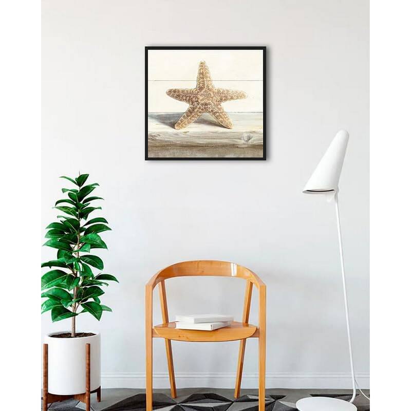 Driftwood Shell III Framed Poster - 24 x 24 Inch - Black