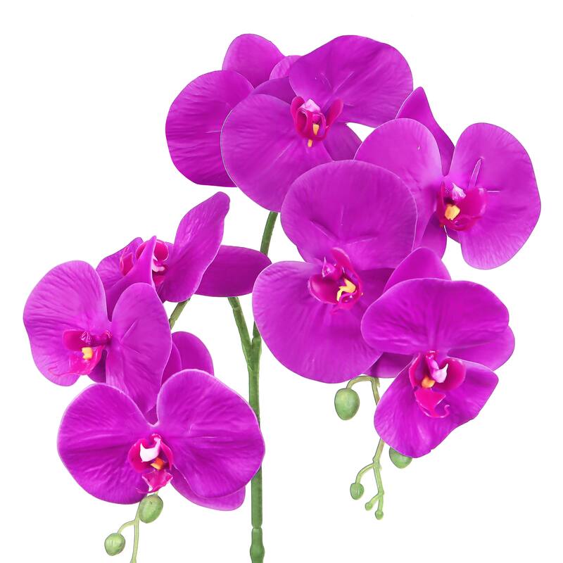 Set of 3 Natural Touch Purple Artificial Phalaenopsis Orchid Flower Stem Spray 34in - 34" L x 10" W x 4" DP