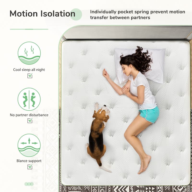 Novilla 12-inch Gel Memory Foam and Innerspring Hybrid Mattress