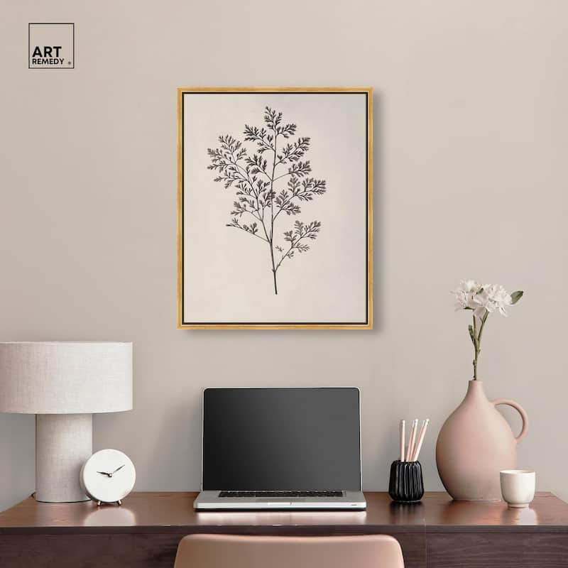 Aniseed Anatomy II Canvas Delicate Floral by Art Remedy