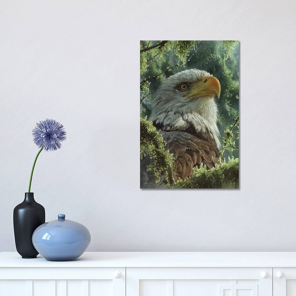 iCanvas "Bald Eagle - High And Mighty - Vertical" by Collin Bogle Canvas Print