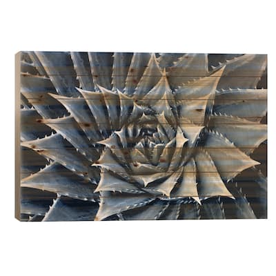 Indigo Succulent I Print On Wood by Mia Jensen - Multi-Color