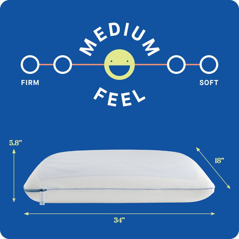 Sealy Dreamlife Memory Foam Gel Pillow, King