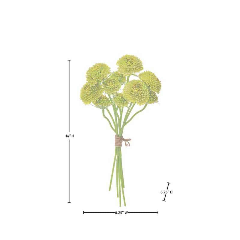 14" Scabiosa Bundle