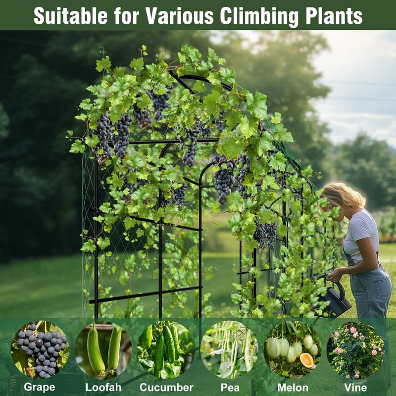 Vegetable Fruit Flower Trellis for Raised Bed Frame Garden Arch Metal Plant Support for Climbing Plants Cucumber Outdoor