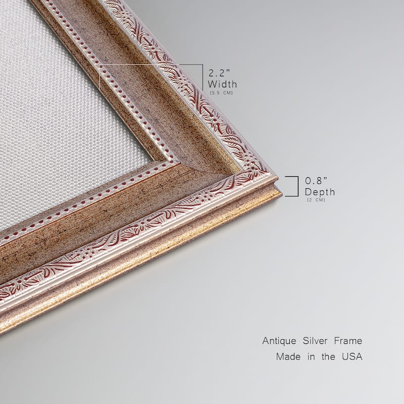 Audubons Brown Pelican Premium Framed Canvas- Ready to Hang