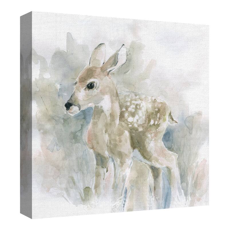 Watercolor Fawn, Fox, Rabbit, Raccoon by Paul Brent Canvas Art Prints