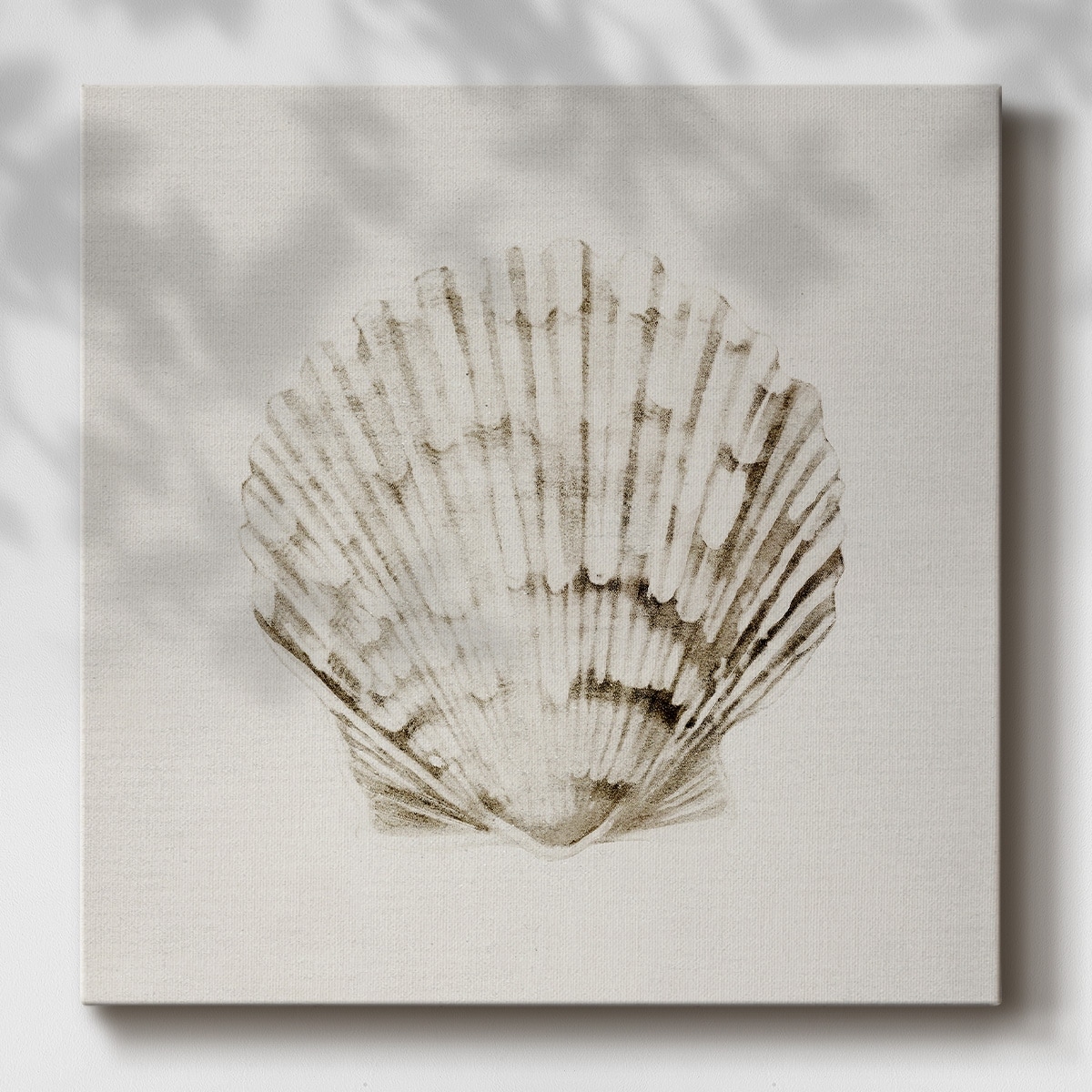 Vintage Shell I-Gallery Wrapped Canvas