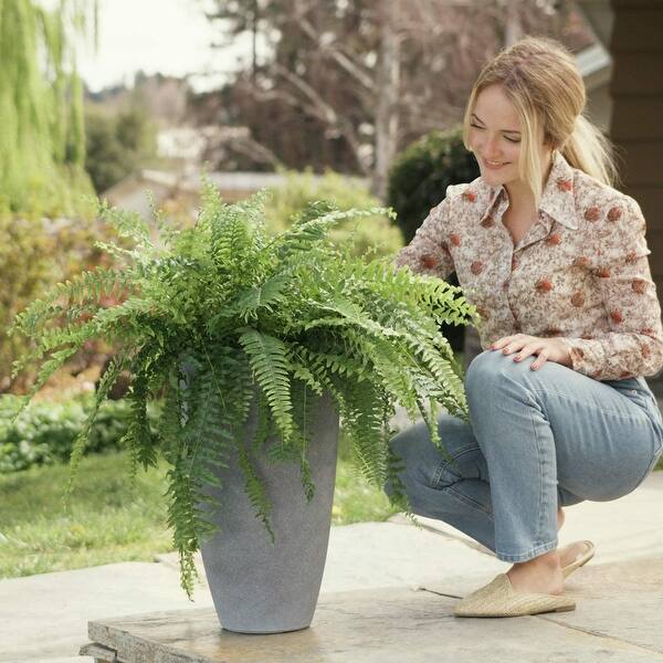 Tall Planters Set 2 Flower Pots, 20 Inch Each, Patio Deck Indoor Outdoor Garden  Planters,Weathered Gray - 8' x 10' - Bed Bath & Beyond - 34241099