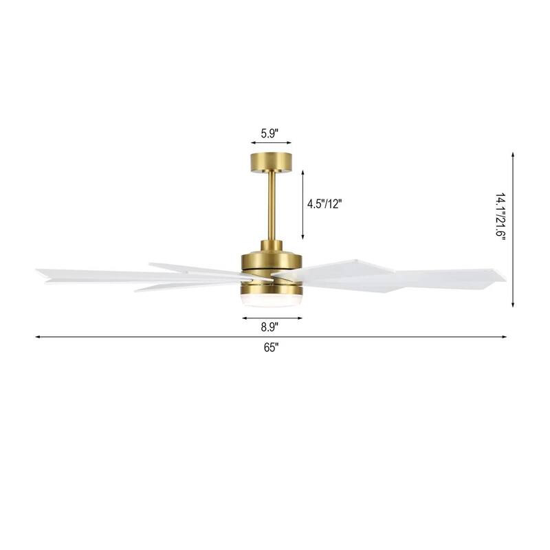MLiAN DC Motor Indoor Ceiling Fan with Light and Remote