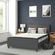 Option Dark Gray