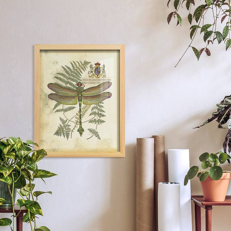 Regal Dragonfly III (PP) -Framed Print w/glass-Cherry Red