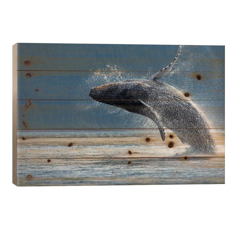 Breaching Humpback Whale, Chatham Strait, Alaska, USA Print On Wood by Paul Souders - Multi-Color - 18x26x1.5