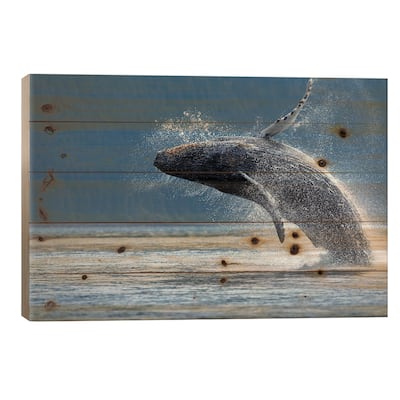 Breaching Humpback Whale, Chatham Strait, Alaska, USA Print On Wood by Paul Souders - Multi-Color